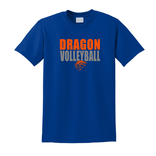54. Dragon Volleyball