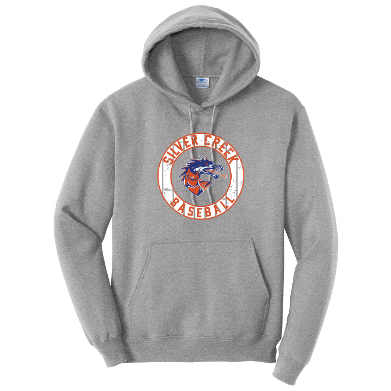 SC Baseball Dragon circle