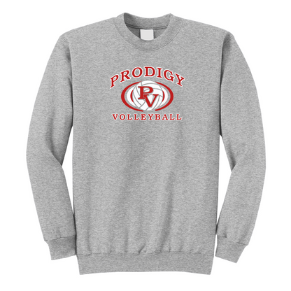 Prodigy Volleyball